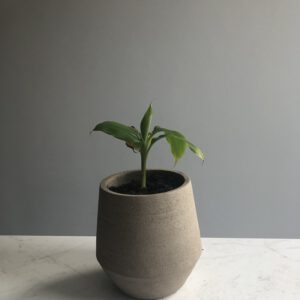 Bloempot beton