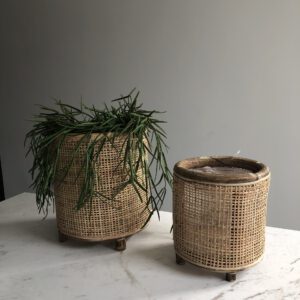 Bloempot webbing big